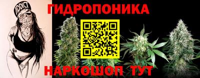 индика Бузулук