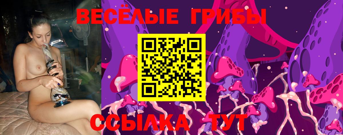 Курган  Псилоцибиновые грибы мицелий  Вход с VPN  Галлюциногенные грибы Cubensis 
